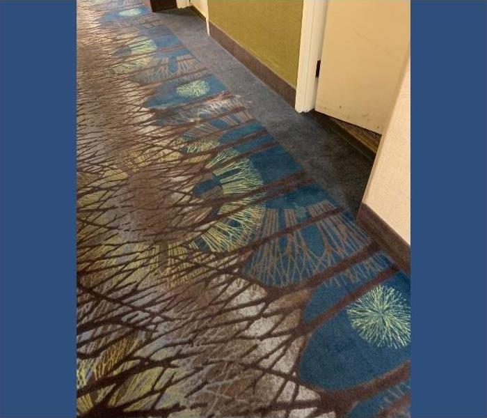 A cleaned carpet in the hotel hallway.