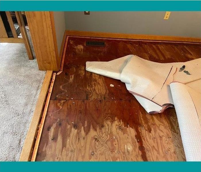 Water damage found under the carpet in this Saratoga living room.