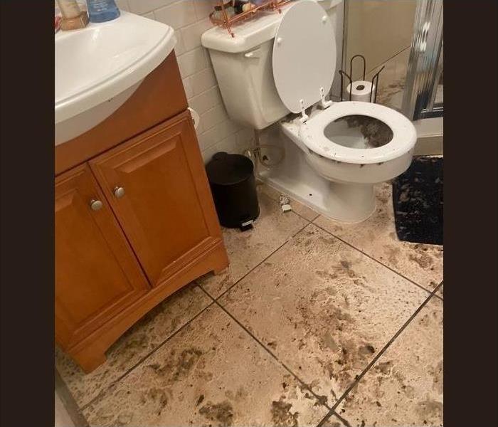 A toilet in Saratoga Springs had a sewage backup issue that went all over the floor in the bathroom.