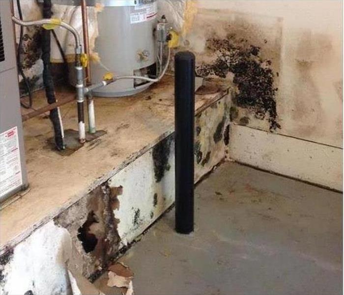 Mold growing on the baseboard of a platform holding the hot water tank in the basement.