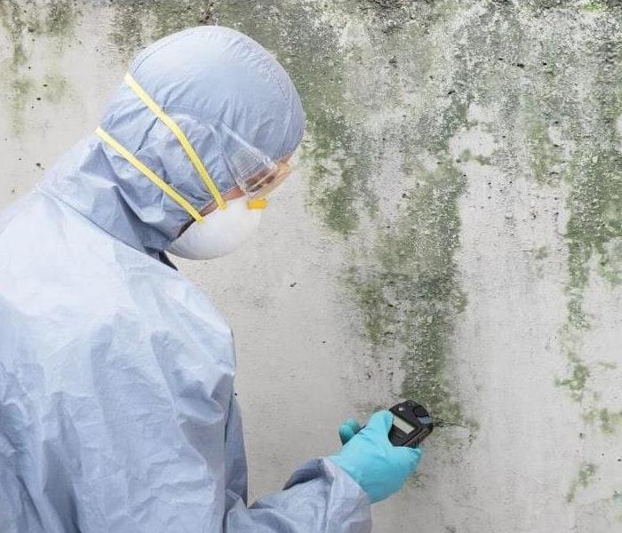 A mold specialist in a hazmat suit assessing the mold damage on the wall.