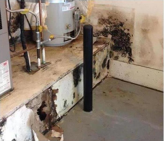 A basement with mold damage near the water heater.